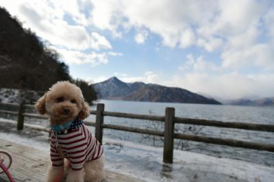 中禅寺湖とcoco