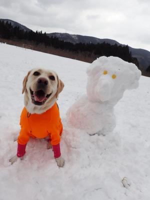 雪犬だるま