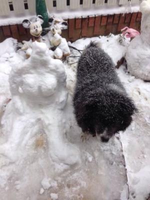 どっちが雪像？