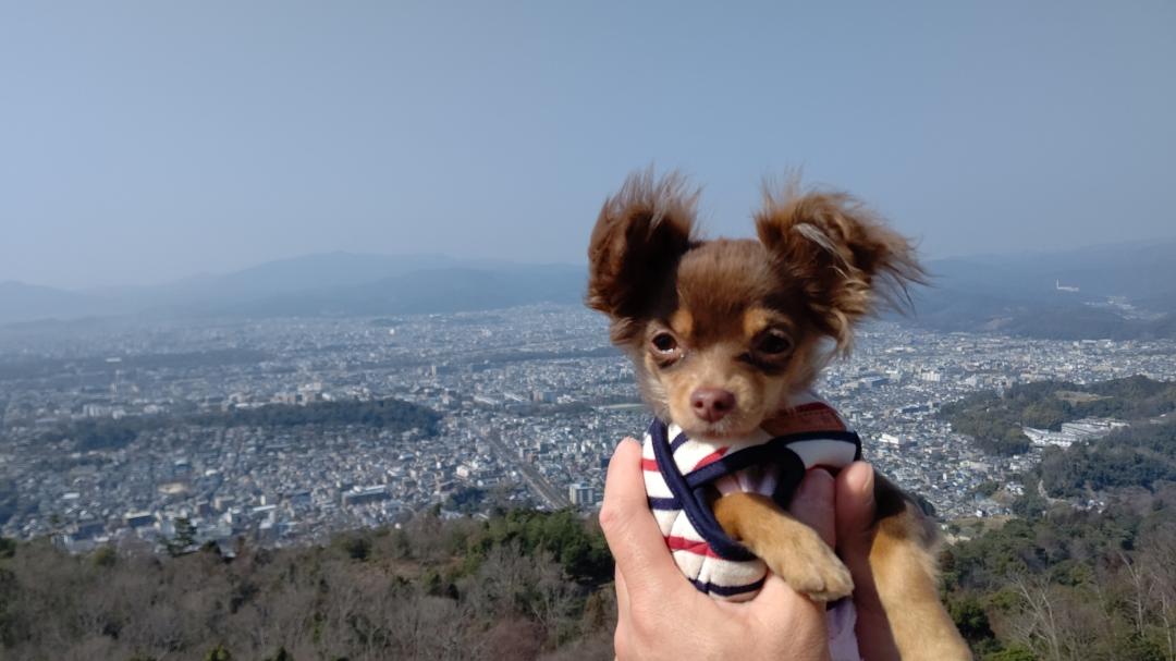 山の風を感じて