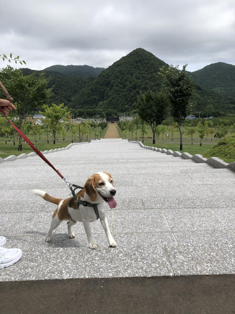 鬼階段の登頂‼️