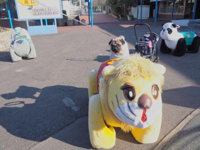 春の陽ざしと水族館