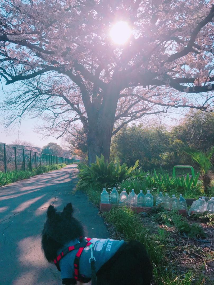 日常にある幸せ