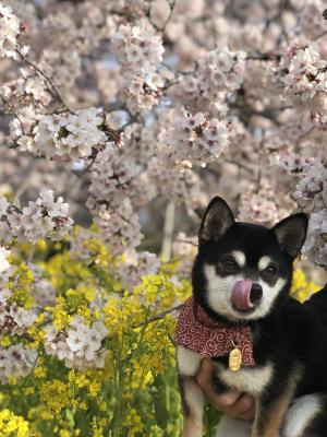 美味しそうな匂い