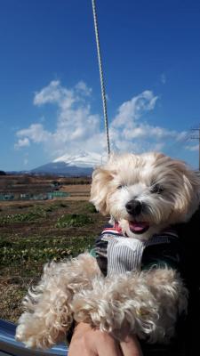 龍雲と富士山パワー