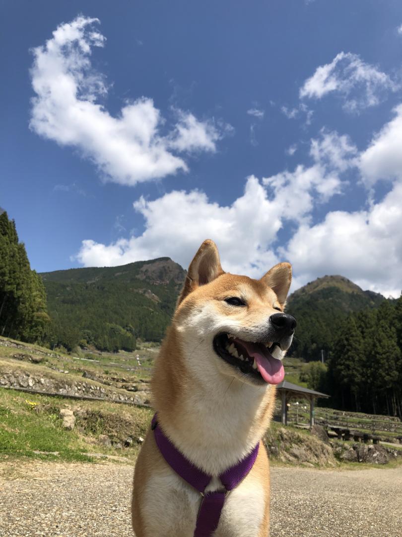 空と福太郎