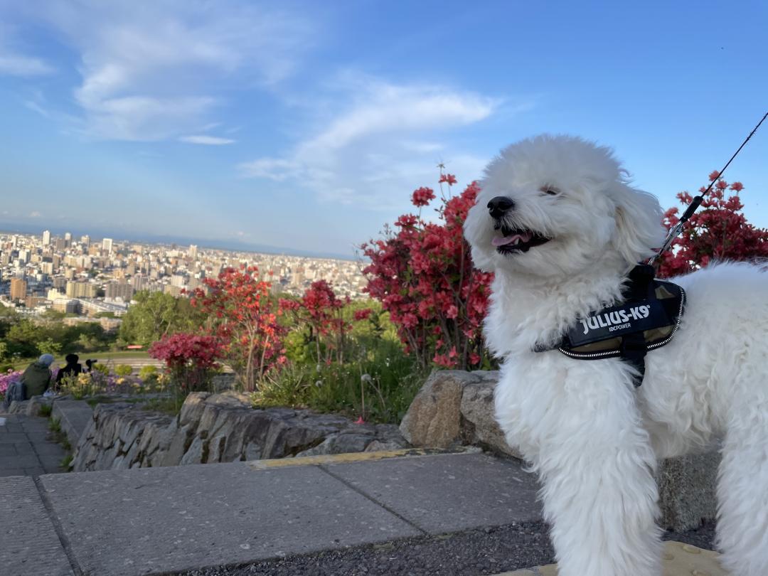 札幌の景色と 笑顔の家族