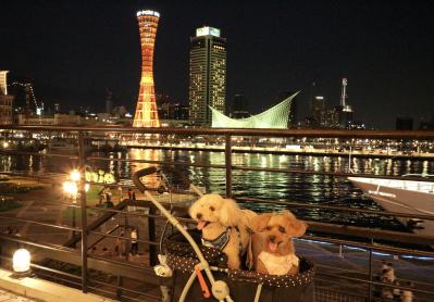 夏の夜☆神戸ハーバーランド