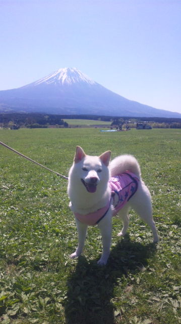 富士山どーーん！