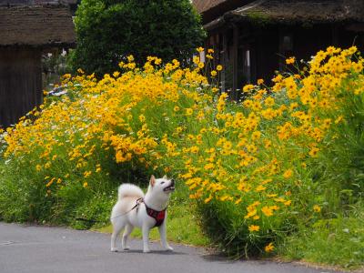 ビタミンカラーで元気いっぱい