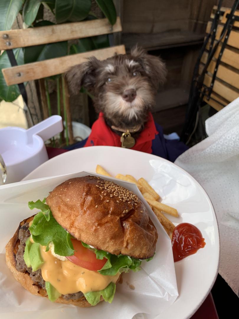 ハンバーガー食べたいな