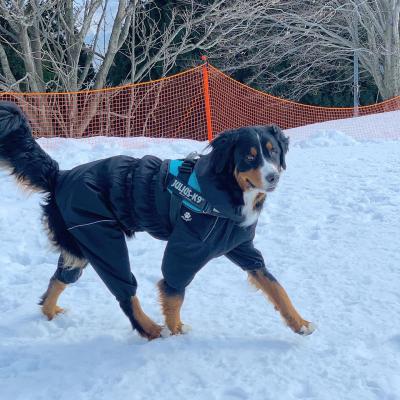 初めての雪にはしゃぐ我が子