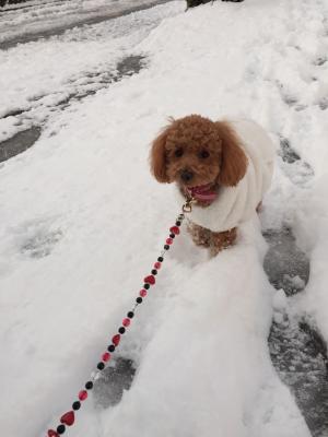 雪の中