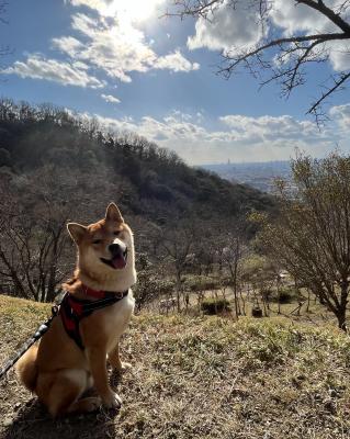 初めての山登り