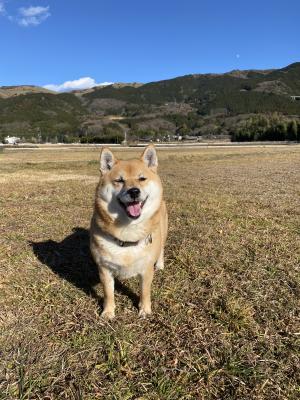 happy smile
