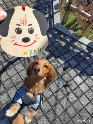 １歳のお誕生日☆神社でお参り