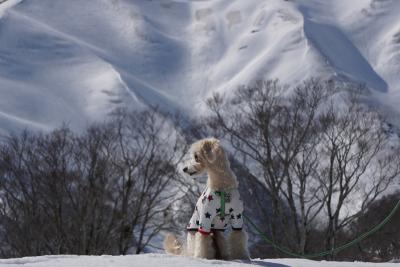 雪解け