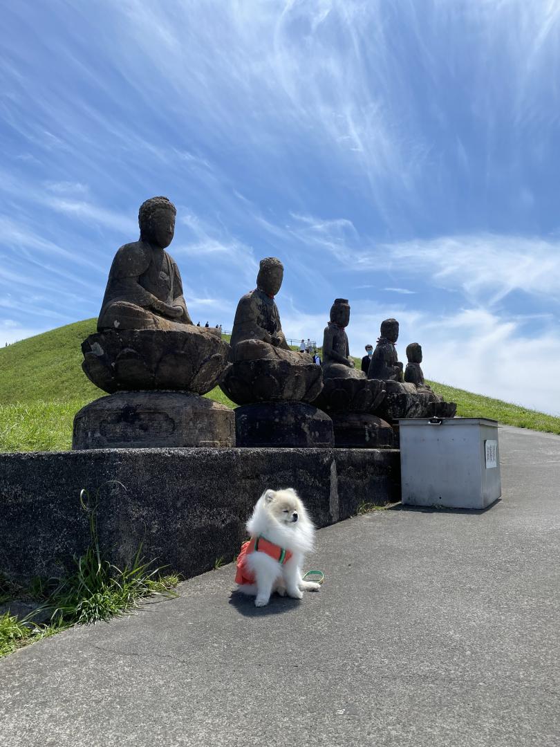 大空の下