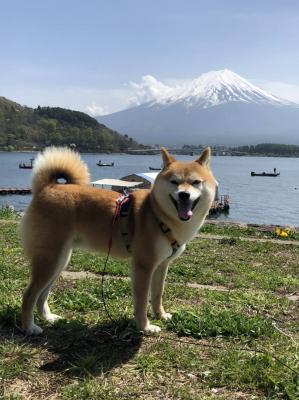 日本の平和を祈ろう