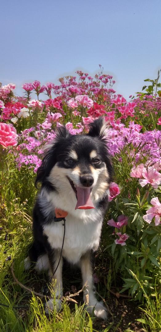 お花の中での1枚