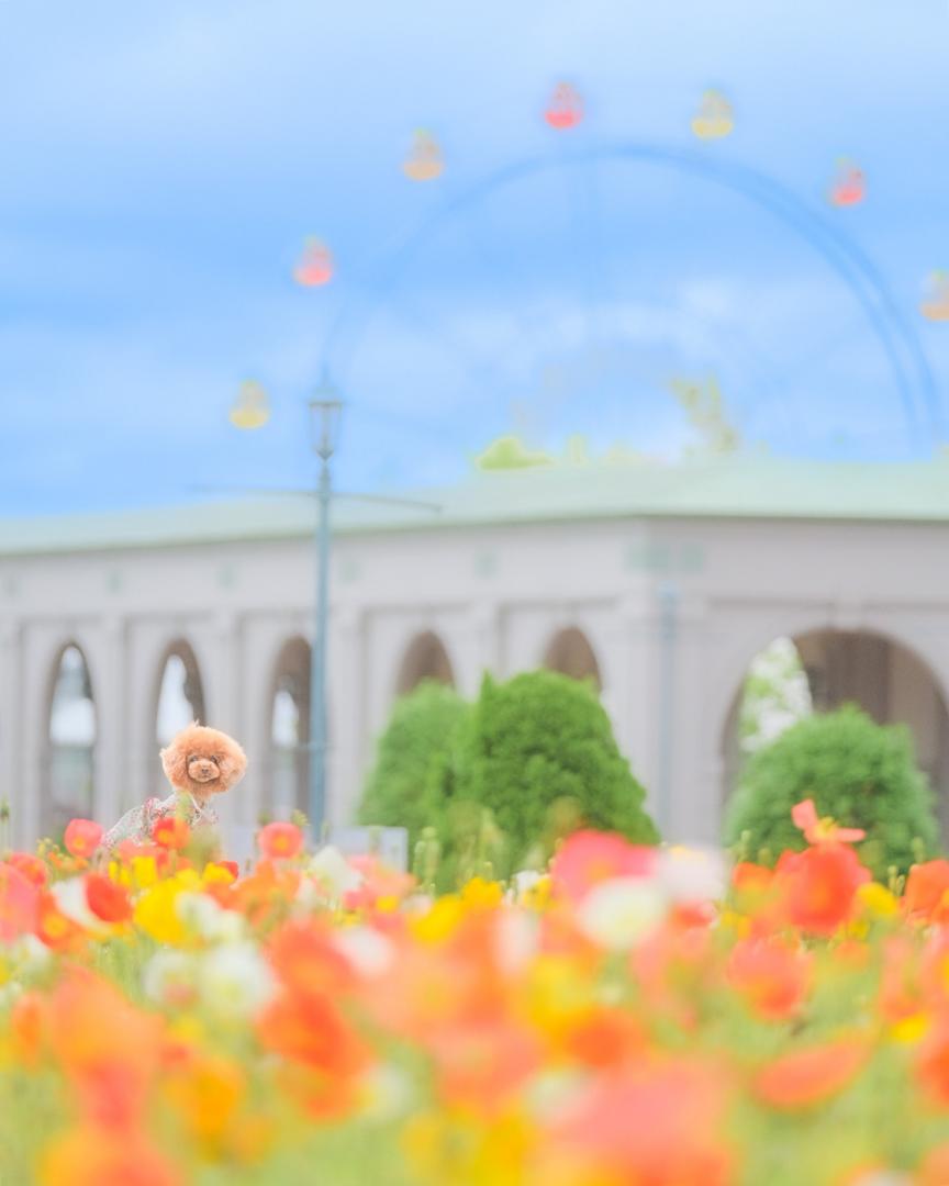 初夏のお出かけ