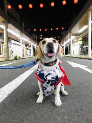 懐かしい夏祭り