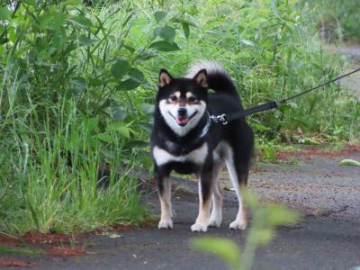 カメラ目線でキリッ！