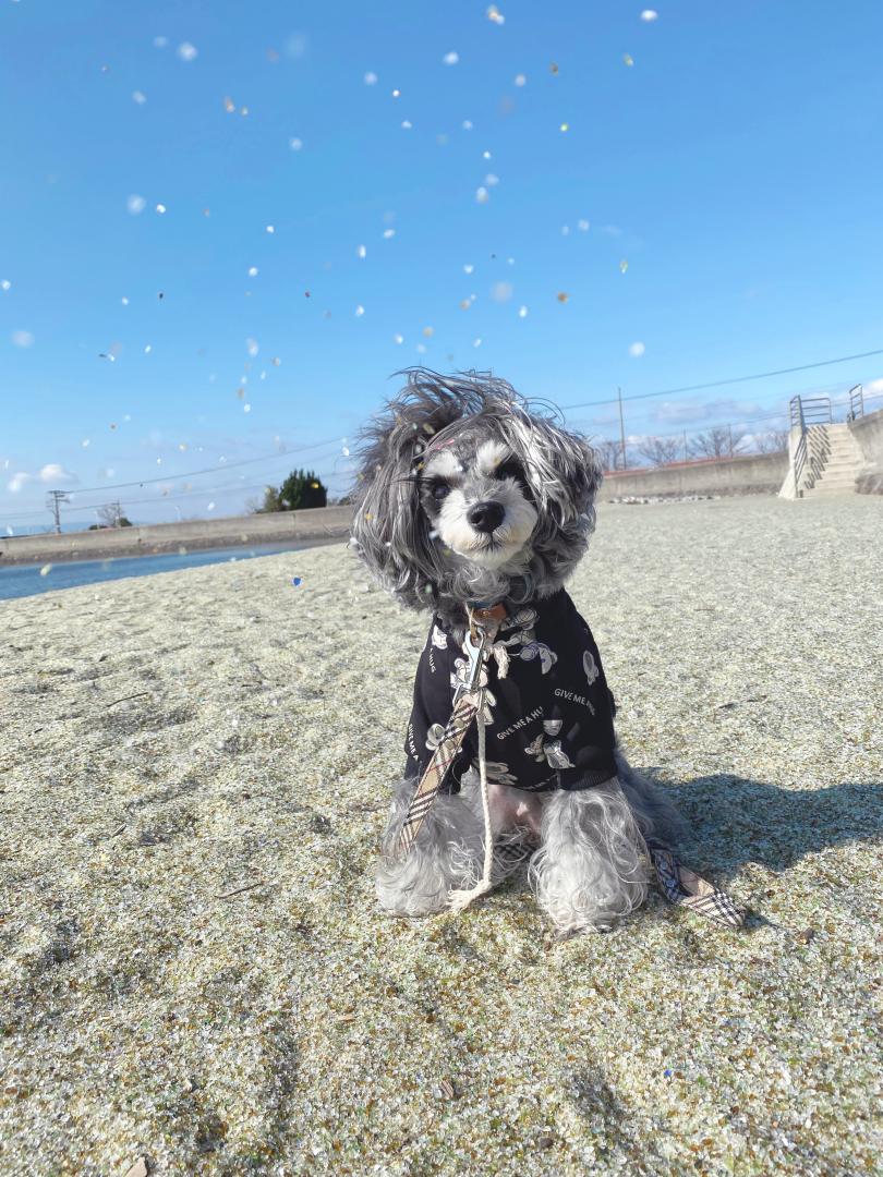 ガラスの砂浜