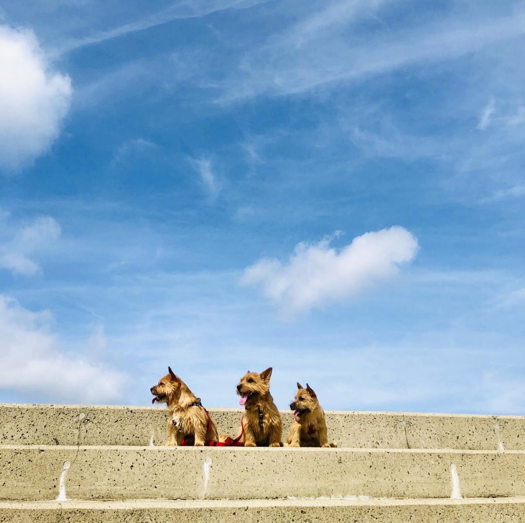 青空の下の思い出