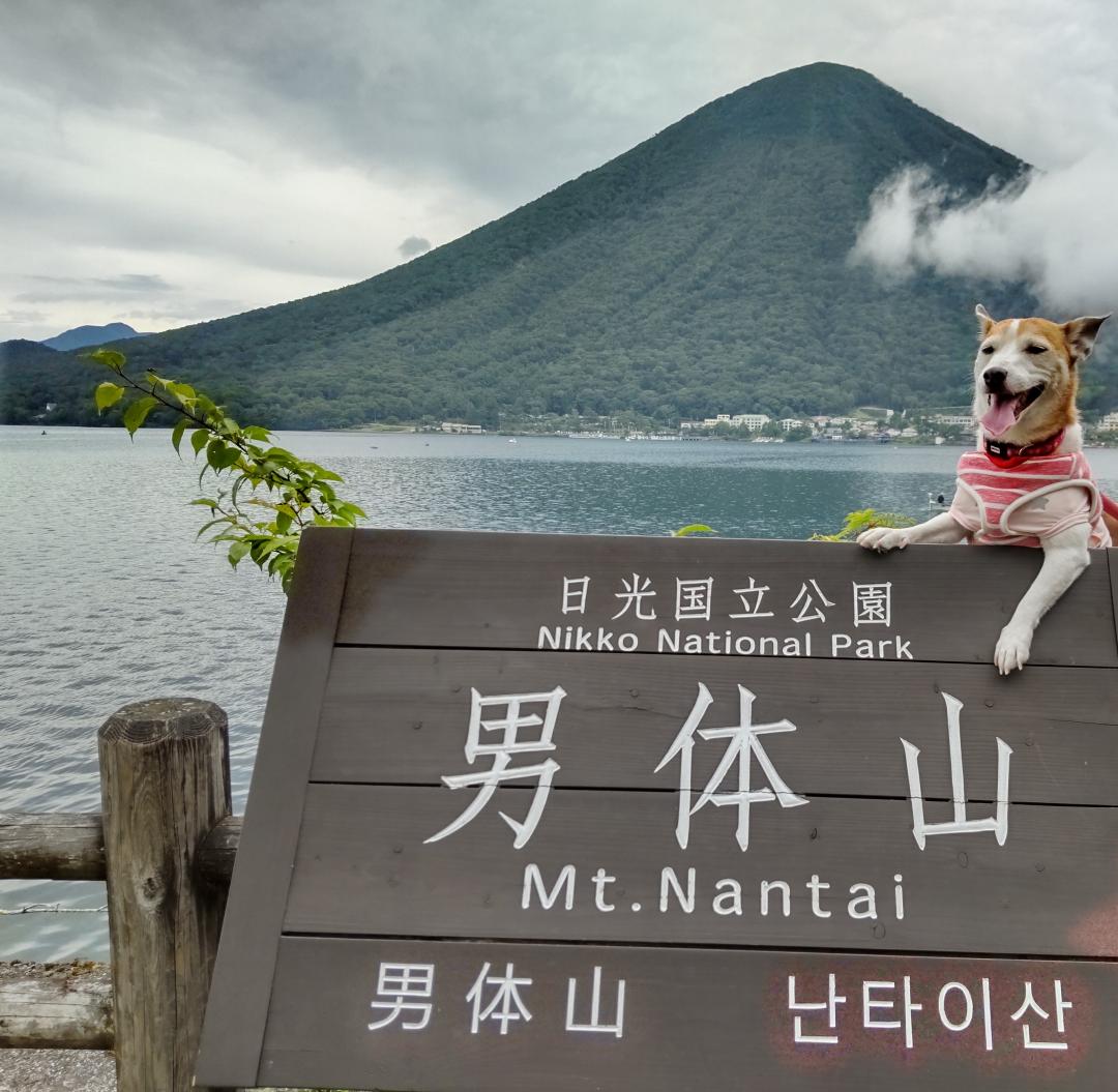 秋の観光