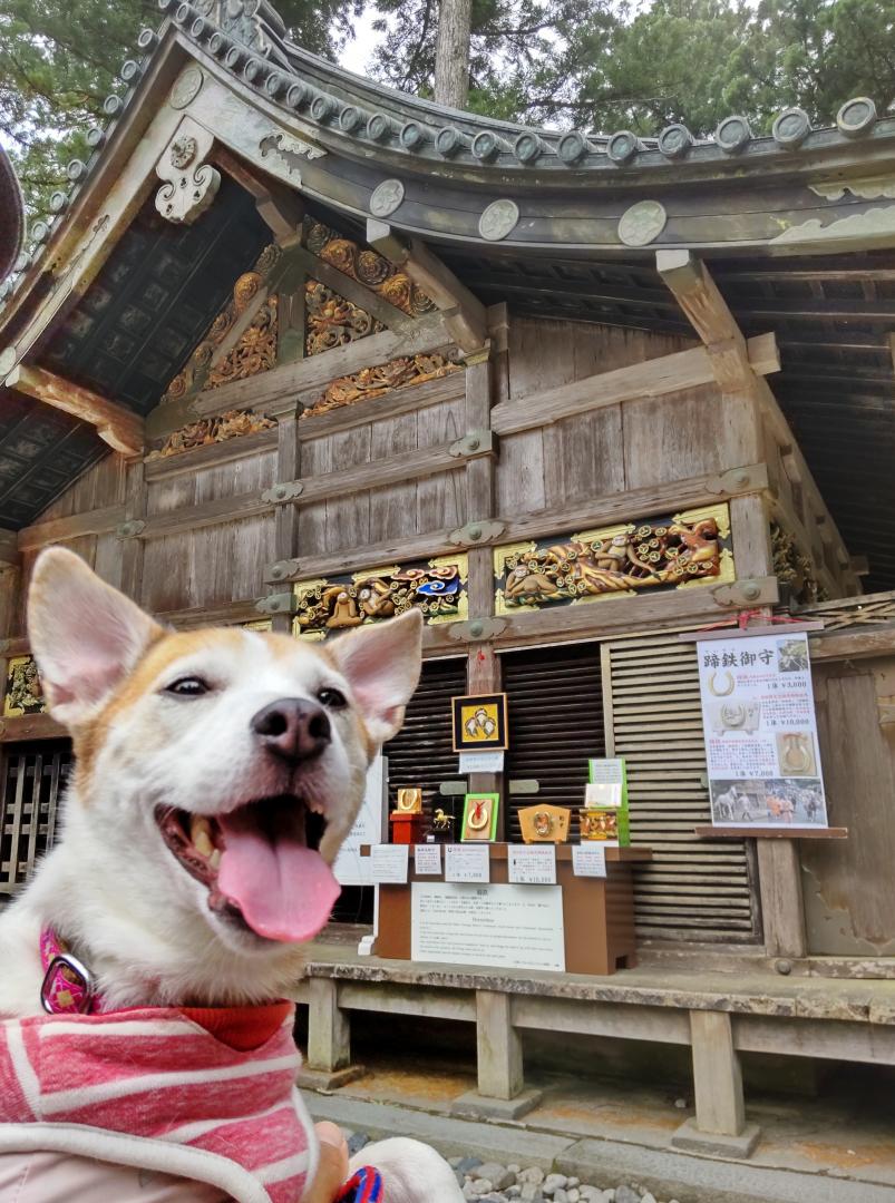 世界遺産の旅