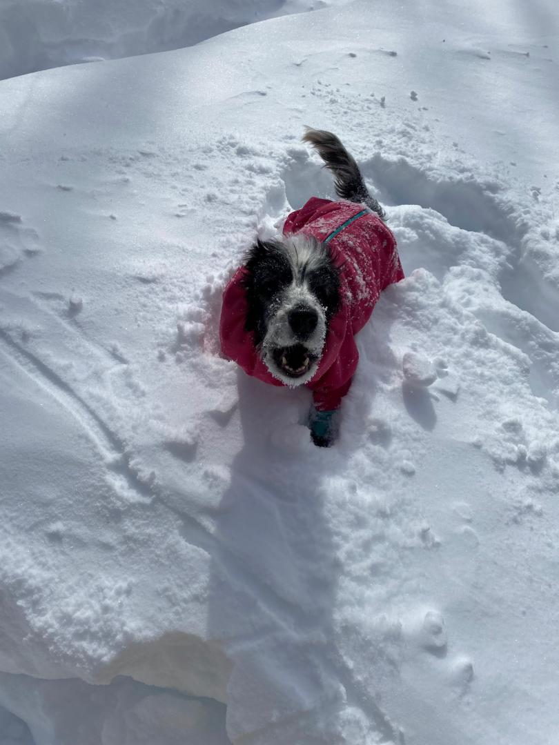 雪まみれ