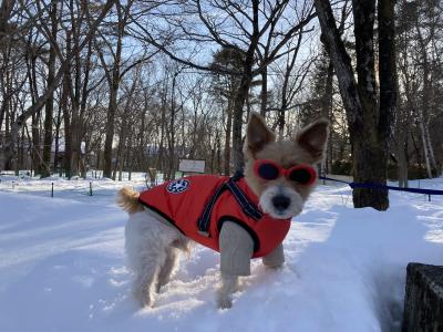 初めての雪遊び