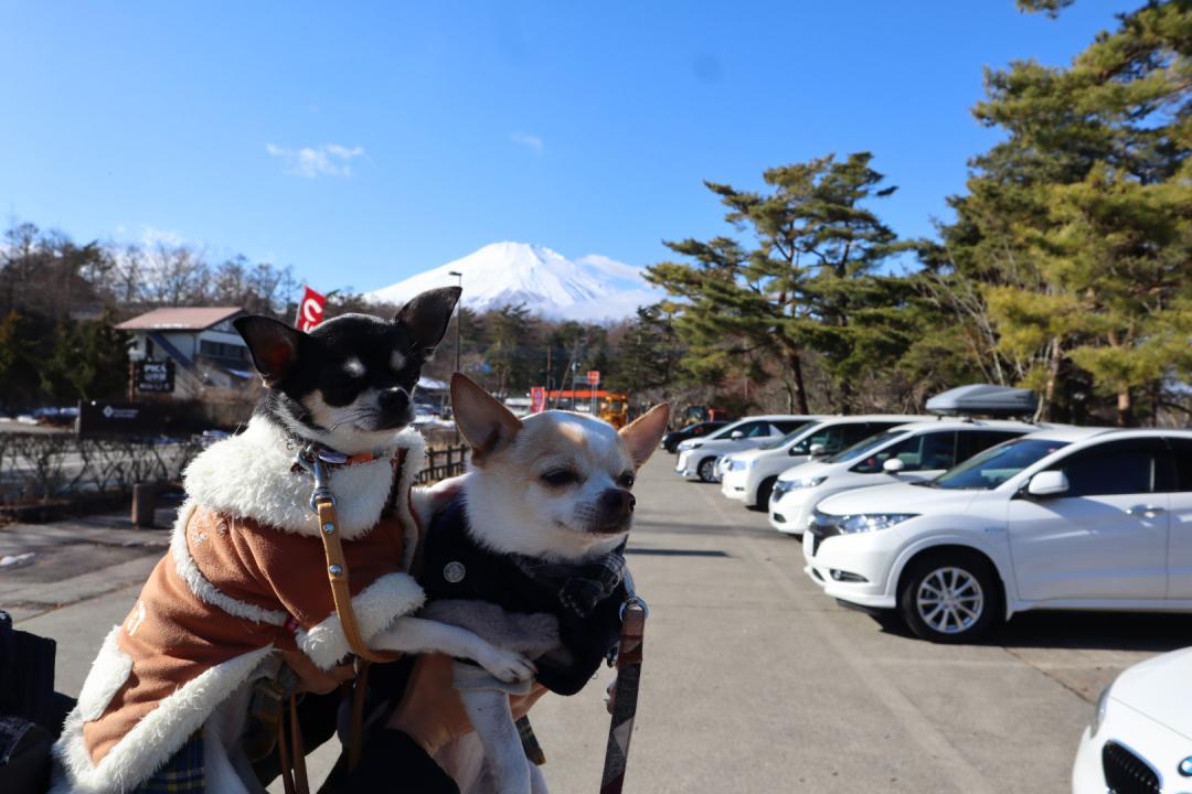 いつかの富士山