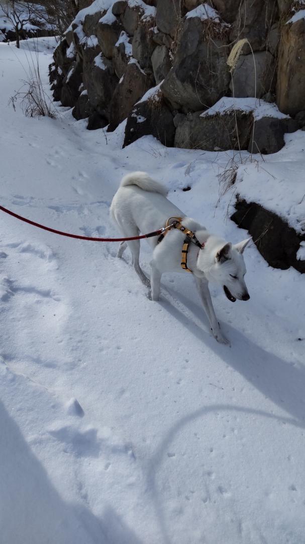 初めての雪遊び