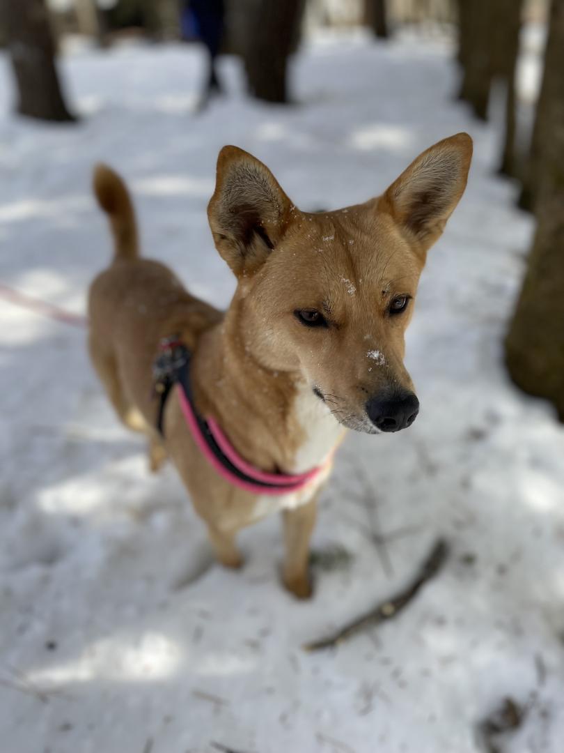 雪遊びで雪まみれ❄️❄️