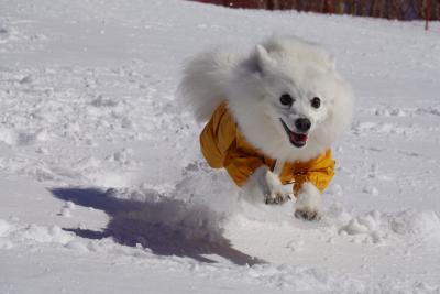 雪遊び