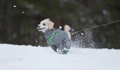 雪遊び