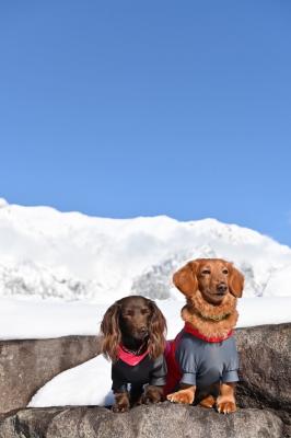 雪山とあたちとぼくちん