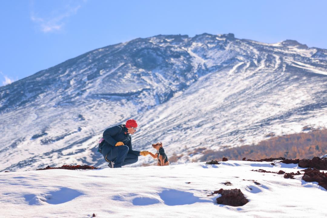 富士山で握手