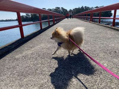 宮城が誇る観光地！日本三景松島の福浦島へトリップ