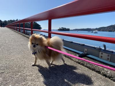 宮城が誇る観光地！日本三景松島の福浦島へトリップ