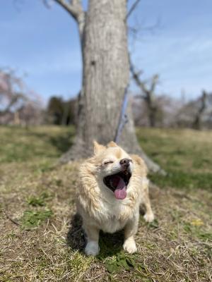 いい天気だなー☀️