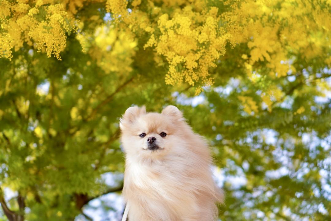 春風に吹かれて