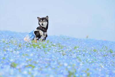 ここは…どこ？