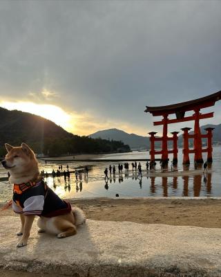 夕陽を背中に