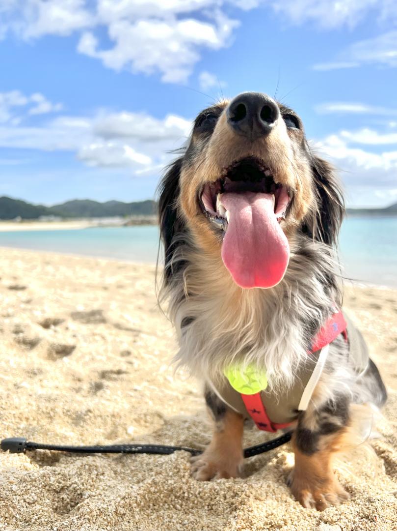 冬の合間の夏日@沖縄