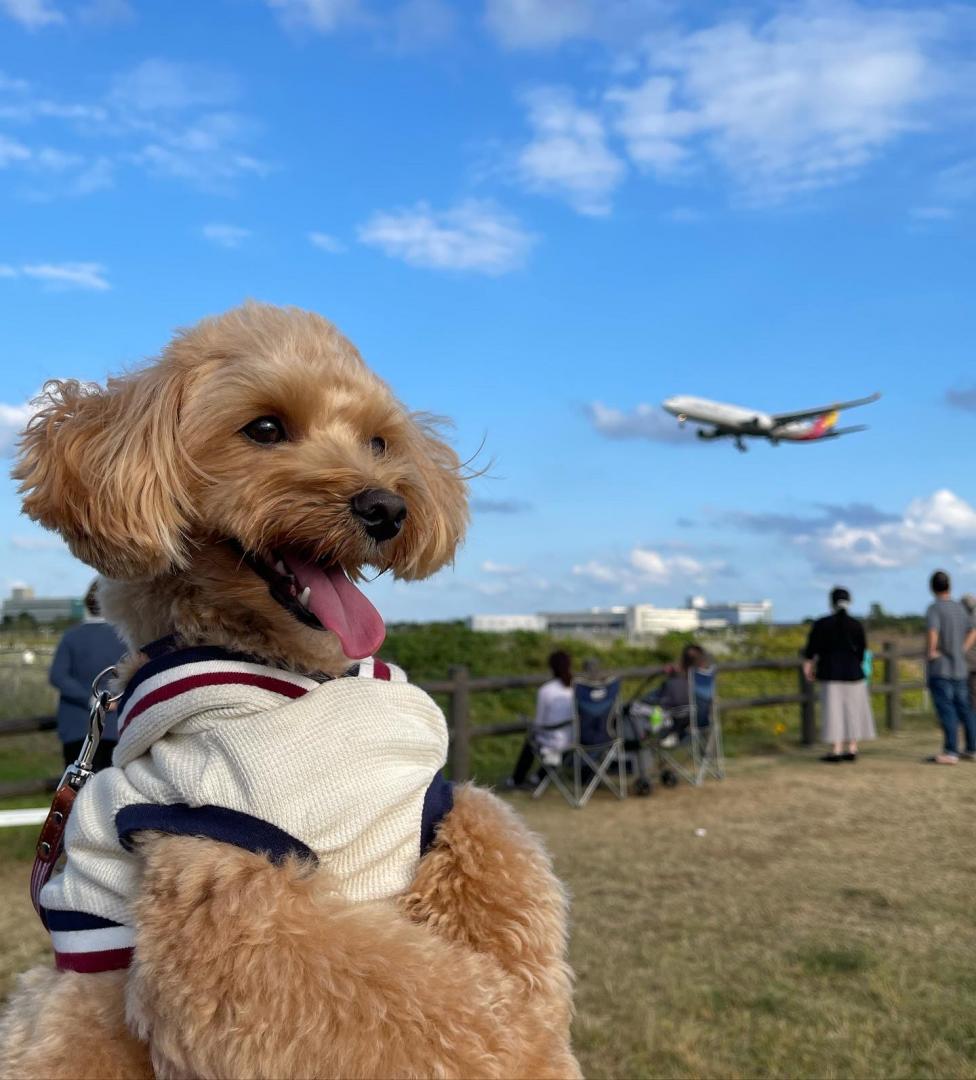 飛行機大好き！