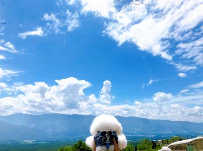 夏の日の雲