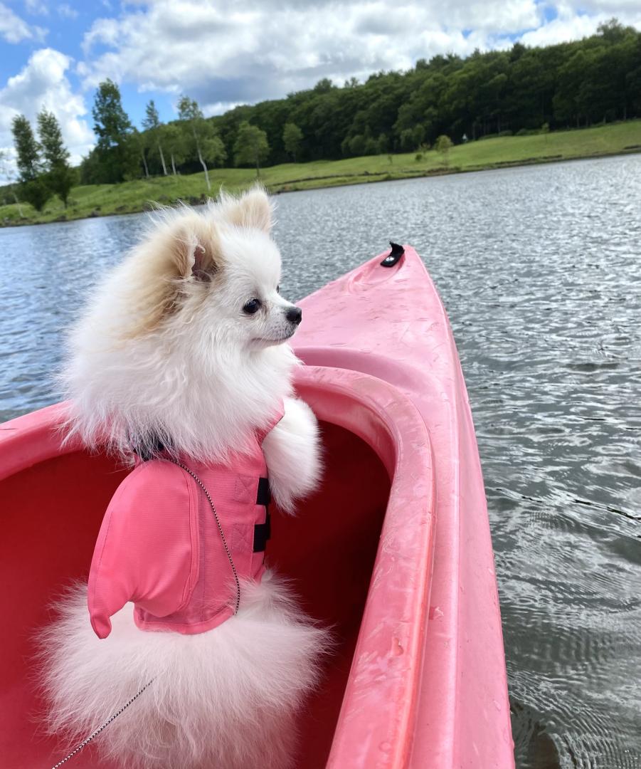 初めての夏